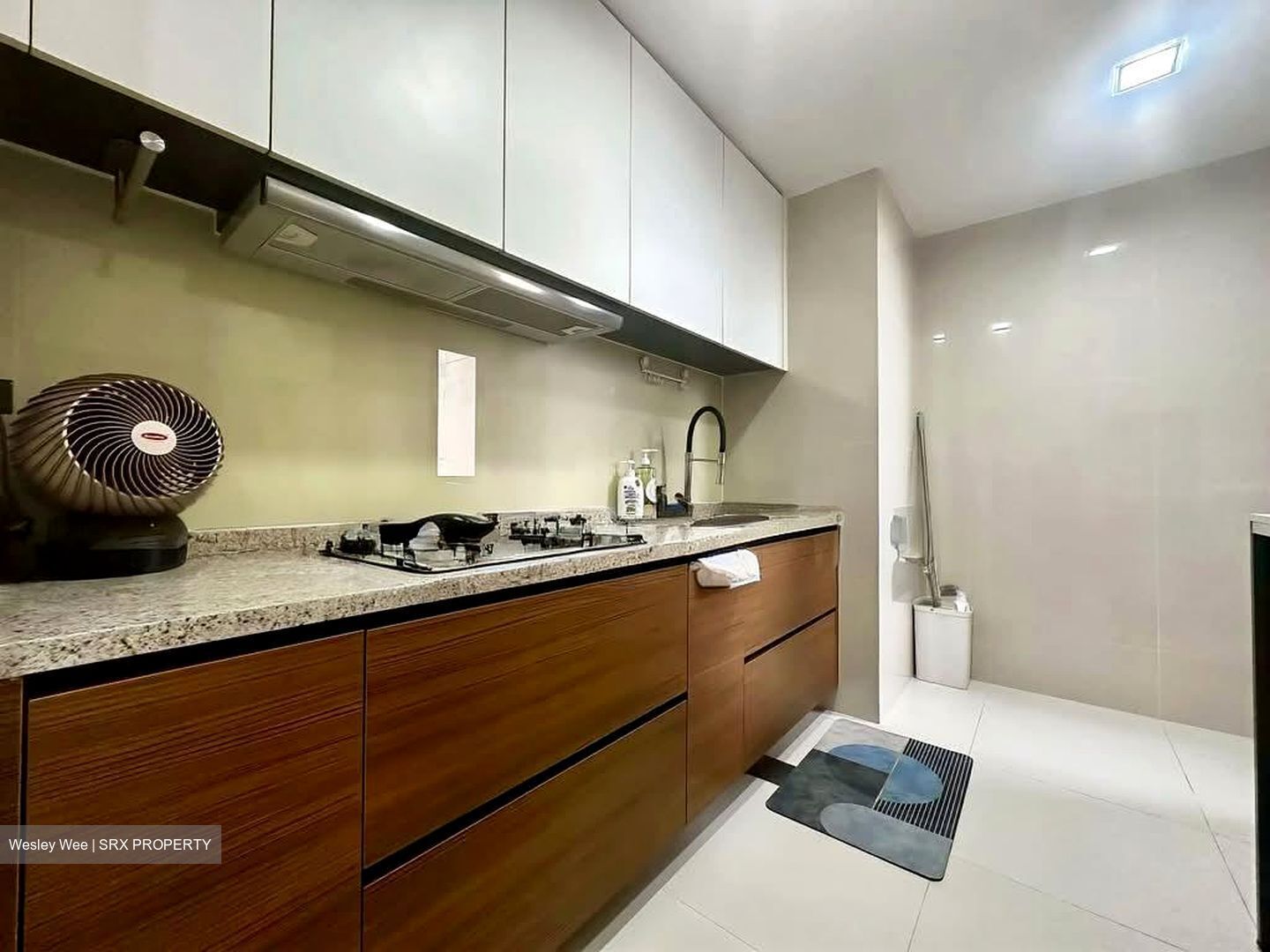 The Miltonia Residences (D27), Condominium #585330071